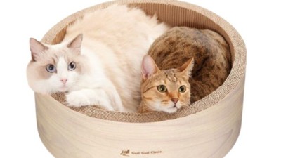 😻 도리도리스크래쳐: 우리 냥이 득템 후기! (할인정보 팡팡)
