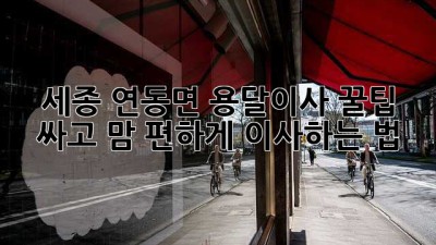 세종 연동면 용달이사 꿀팁🍯: 싸고 맘 편하게 이사하는 법